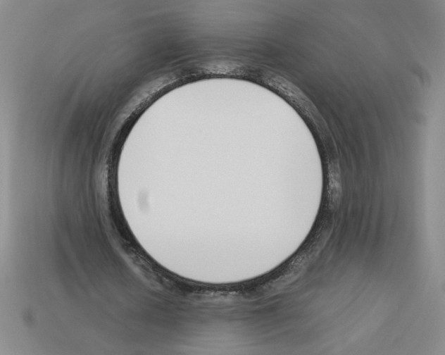 X0000112870626200910021333