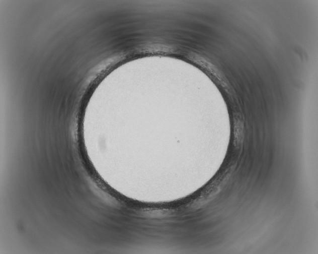 X0000112870629200910021333