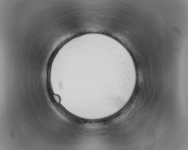 X0000112870630200910021333