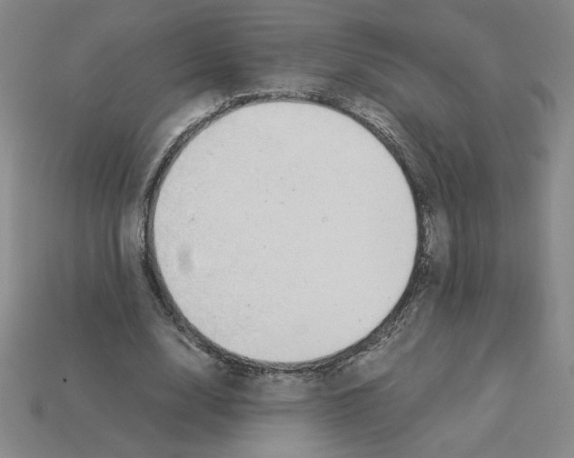 X0000112870632200910021333