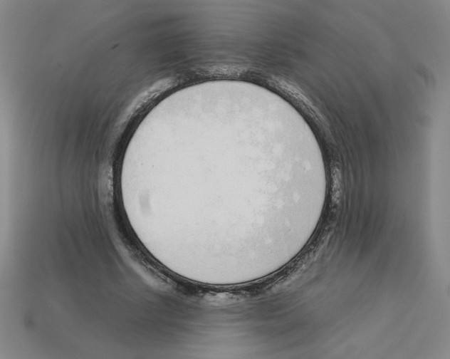 X0000112870634200910021333