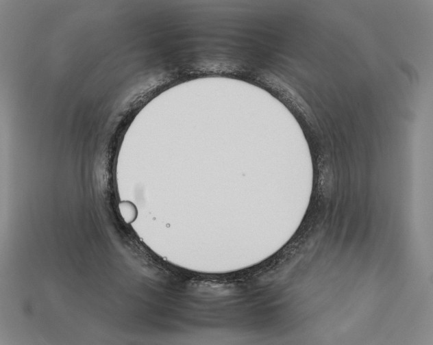 X0000112870635200910021333