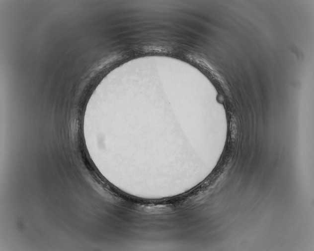 X0000112870637200910021333