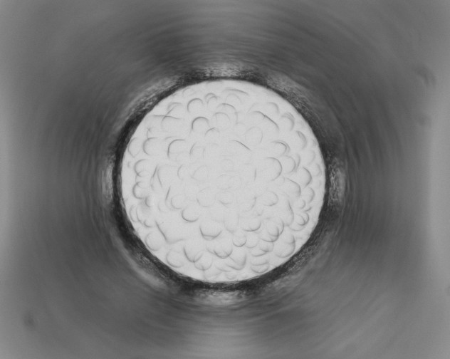 X0000112870638200910021333