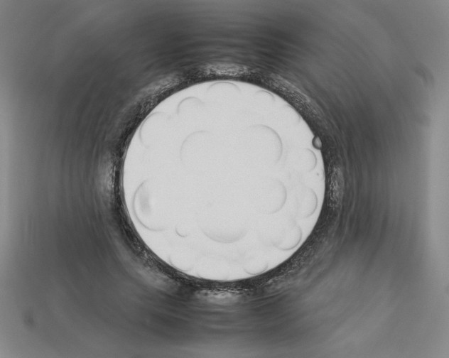 X0000112870639200910021333