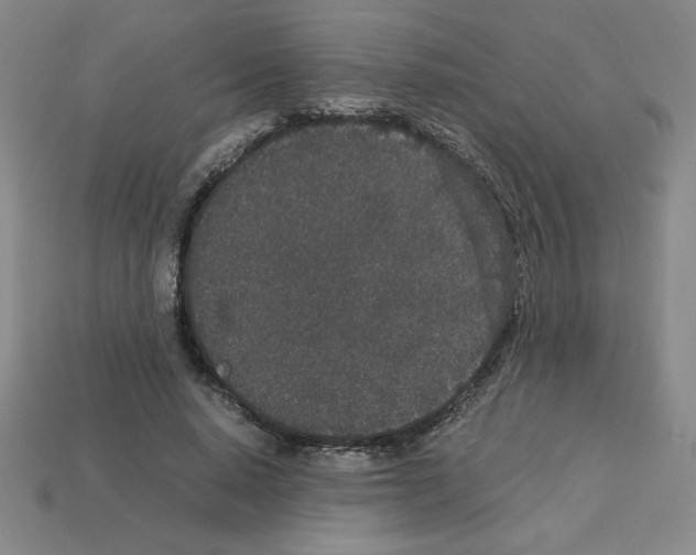 X0000112870640200910021333