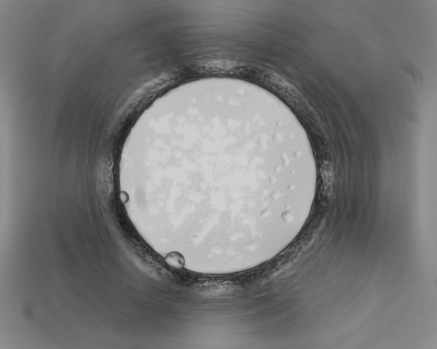 X0000112870642200910021333