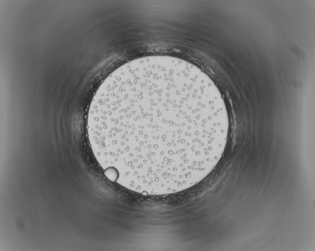 X0000112870648200910021333