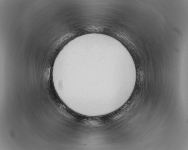 X0000112870652200910021333