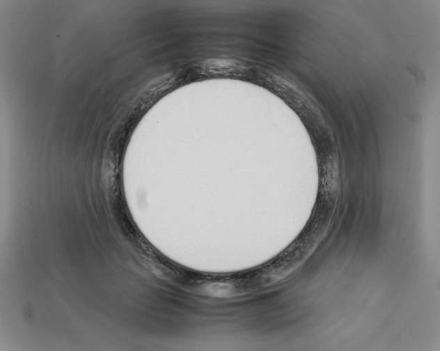 X0000112870653200910021333