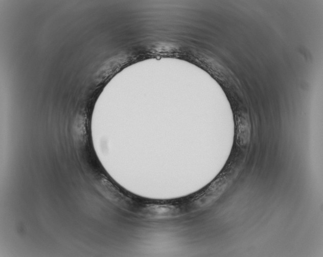 X0000112870654200910021334