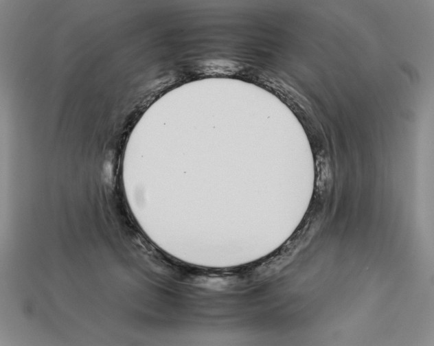 X0000112870655200910021334