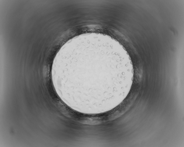 X0000112870657200910021334