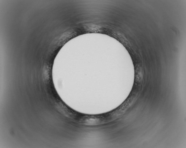 X0000112870658200910021334