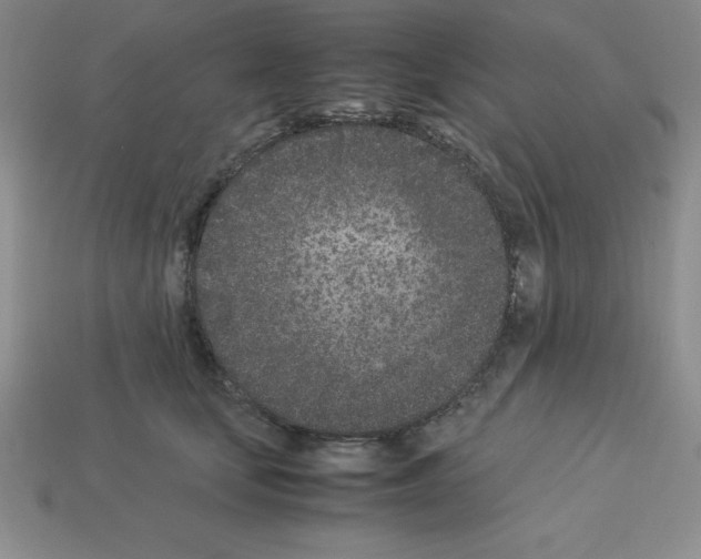 X0000112870659200910021334