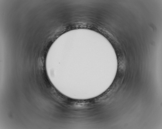 X0000112870661200910021334