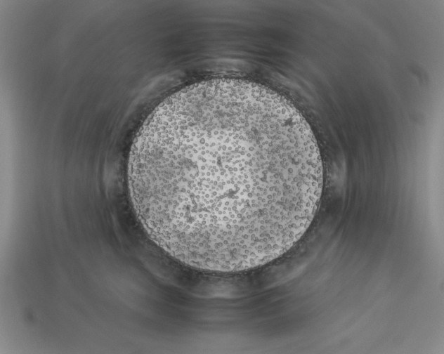 X0000112870663200910021334