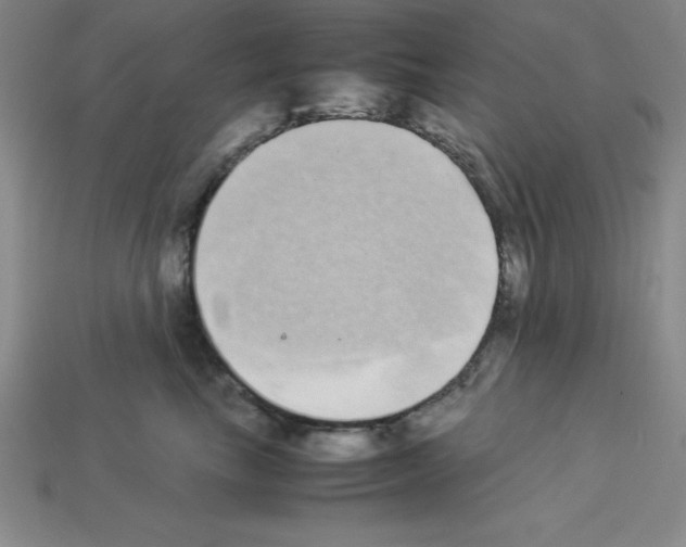 X0000112870665200910021334