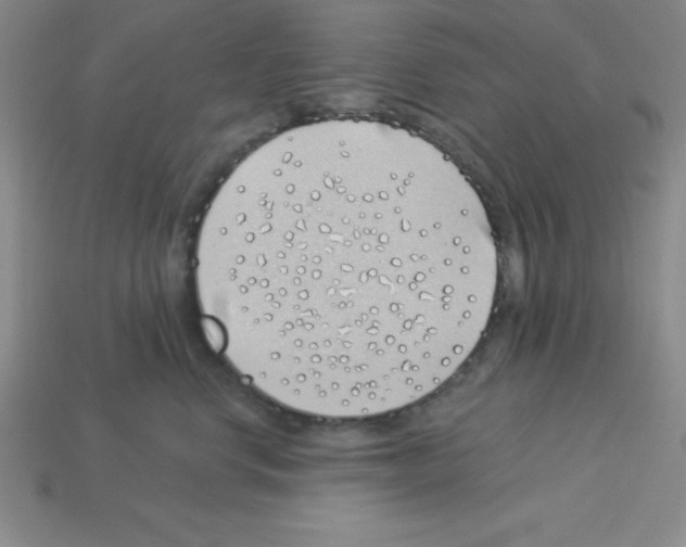 X0000112870668200910021334