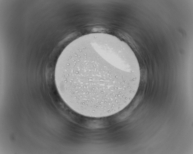 X0000112870669200910021334