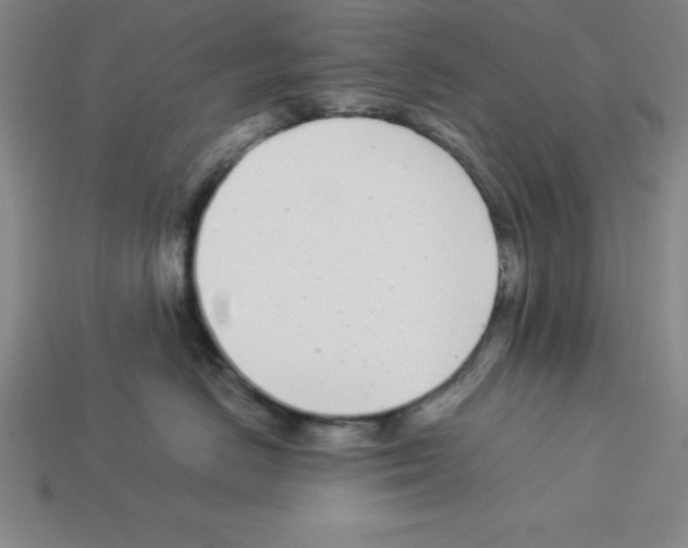 X0000112870670200910021334