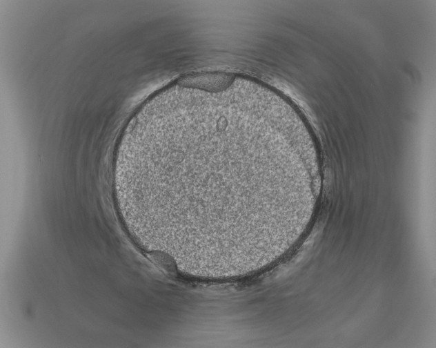 X0000112870673200910021333