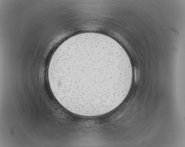 X0000112870675200910021333