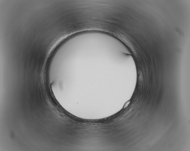 X0000112870676200910021333