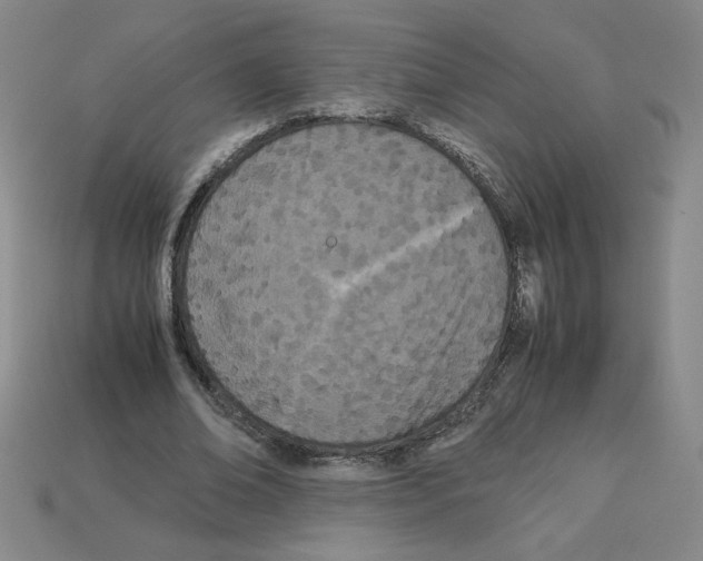 X0000112870678200910021333