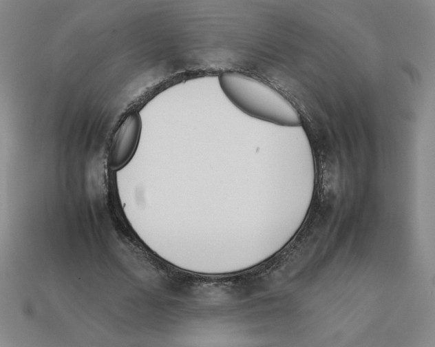 X0000112870680200910021333