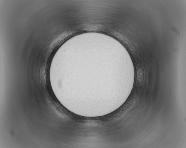 X0000112870682200910021333