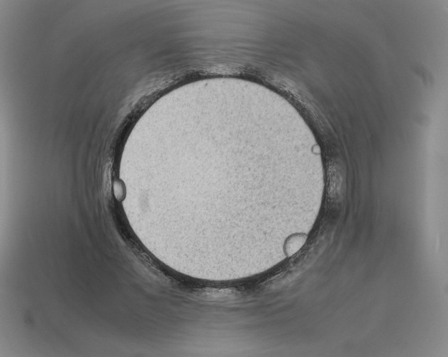 X0000112870685200910021333