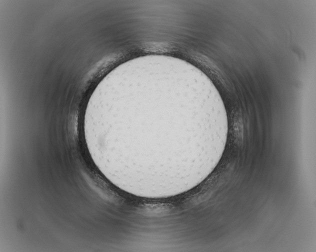 X0000112870686200910021333