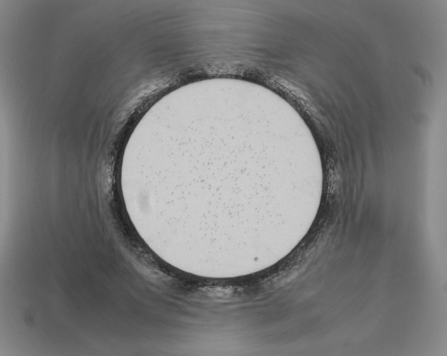 X0000112870687200910021333