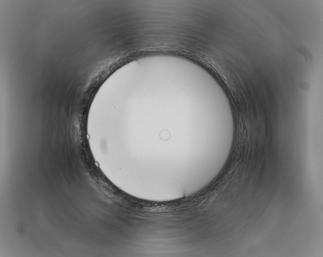 X0000112870688200910021333