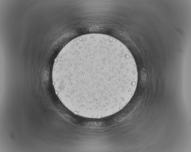 X0000112870691200910021333