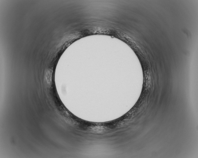 X0000112870695200910021333