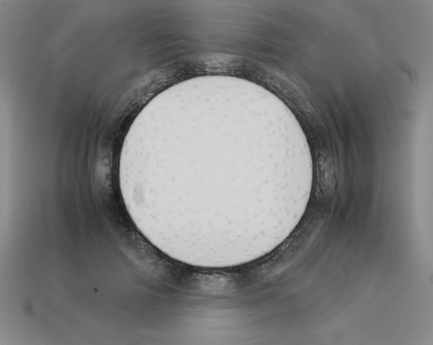 X0000112870698200910021333