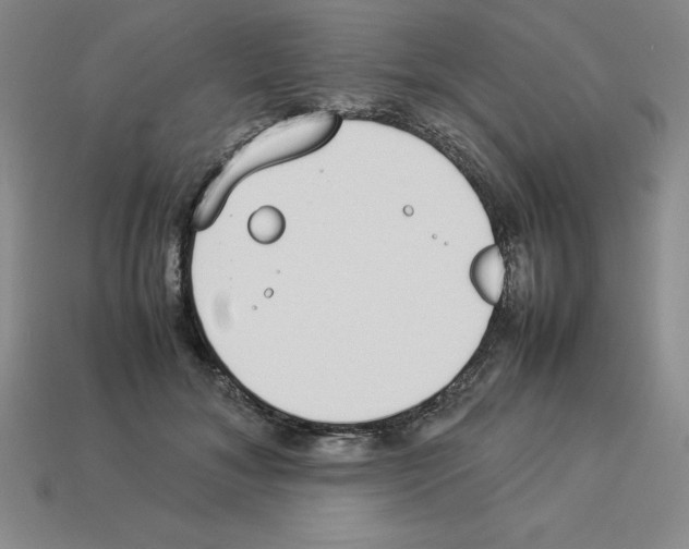 X0000112870700200910021333