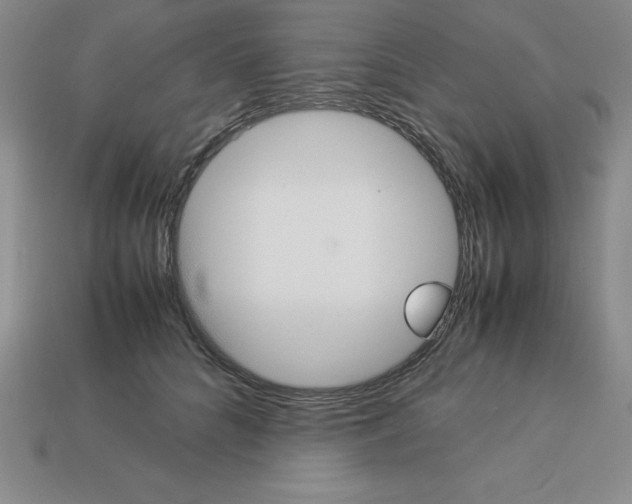 X0000112870704200910021333