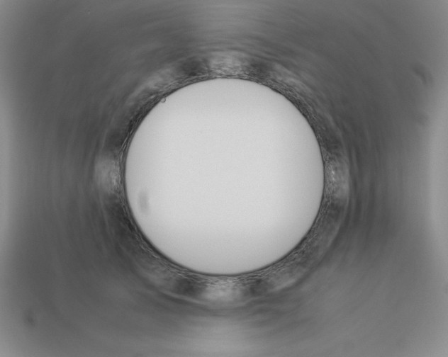 X0000112870705200910021333