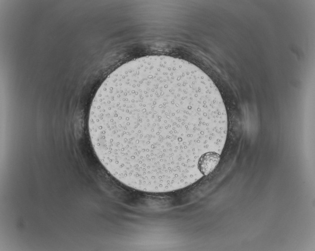 X0000112870707200910021333