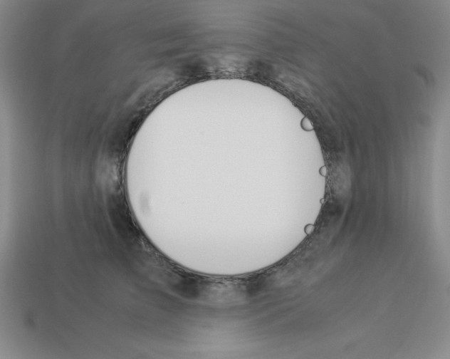 X0000112870709200910021333