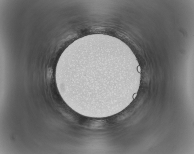 X0000112870711200910021333