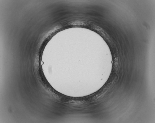 X0000112870727200910021332