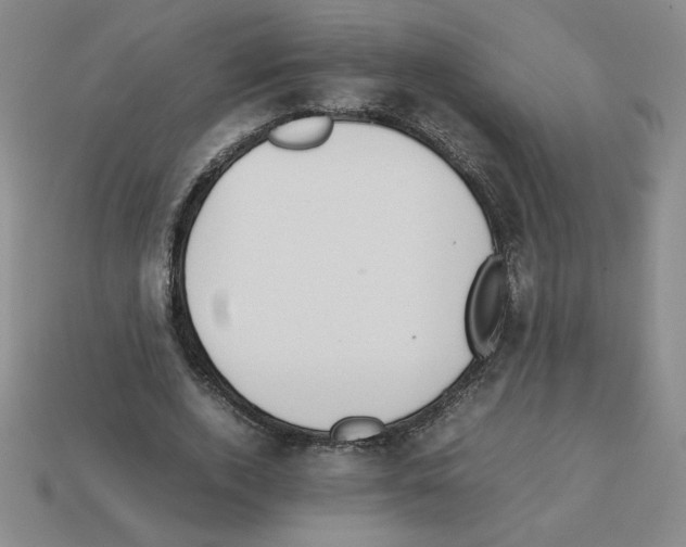 X0000112870728200910021332