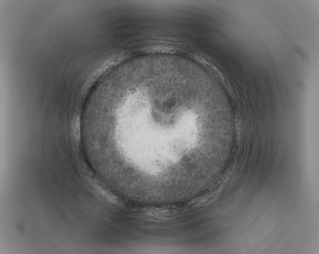 X0000112870729200910021332