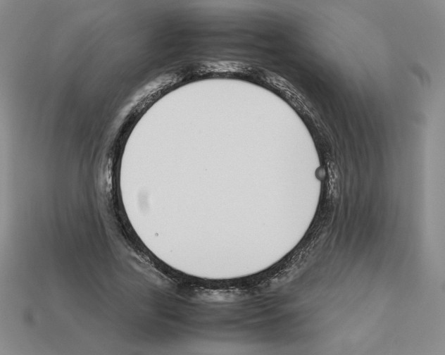 X0000112870731200910021332