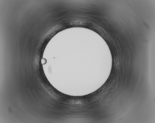 X0000112870735200910021332