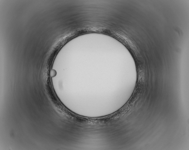 X0000112870736200910021332